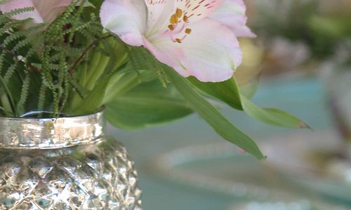 High Tea - gallery---img_.jpg